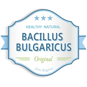 Bacillus Bulgaricus 